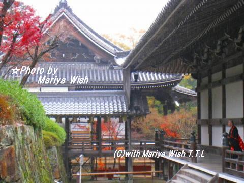 *京都*長岡京*紅葉散歩-光明寺-4