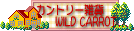 カントリー
