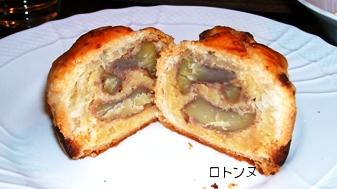 ロトンヌ断面.JPG