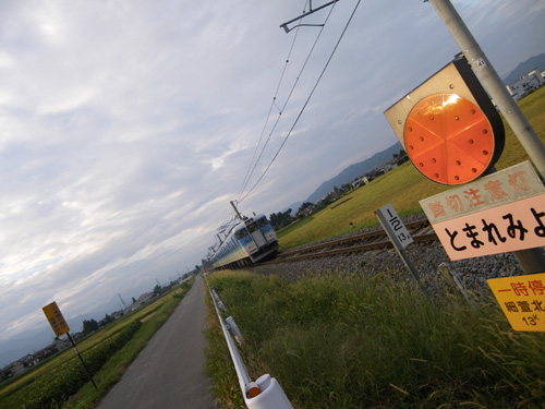 IMGP4443_500.jpg