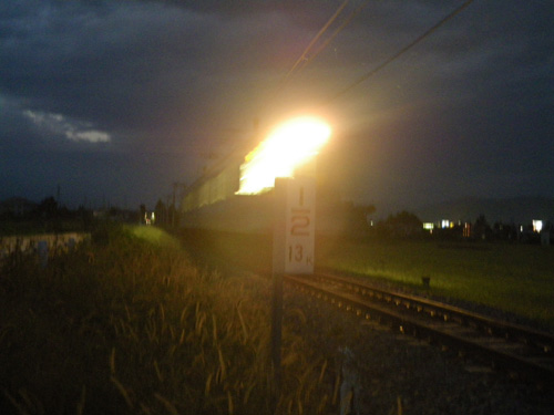 IMGP4467_500.jpg