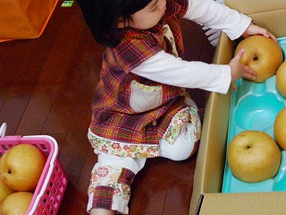 つめ放題
