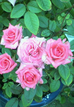 2005-07-19 23:22:47