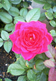 2005-07-19 23:23:57