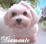 Diamante