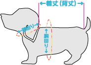 サイズ犬