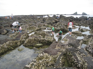 IMG_1083_1.JPG