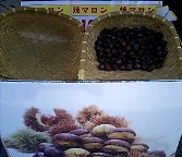 マロン