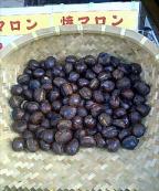 マロン