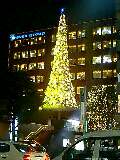 avex