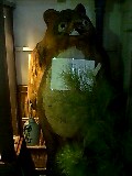 天野屋3