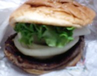 フレッシュネスバーガー