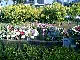 公園3