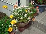 はな