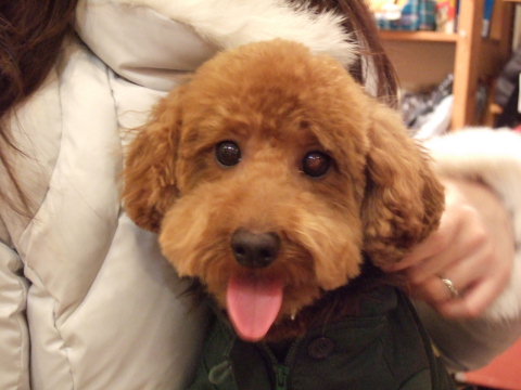 0128_003