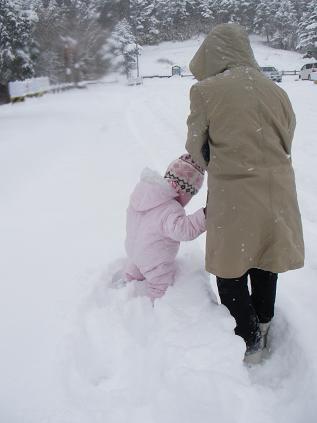 雪♪雪♪♪