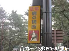 2011-京都day4-19.jpg