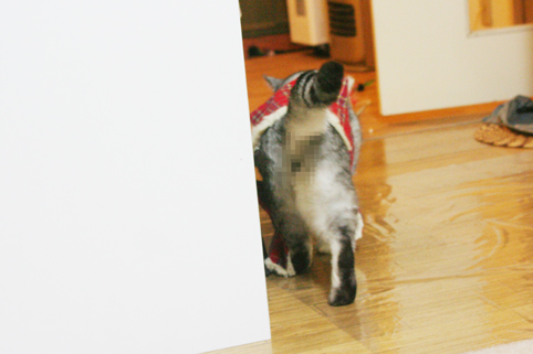 091029_3.jpg