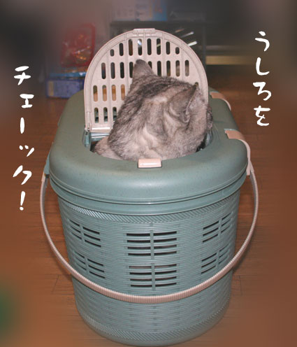 0131-2.jpg