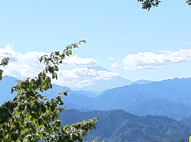 富士From高尾山１