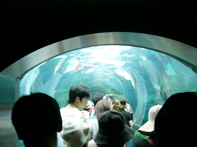 ペンギン館1