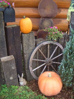 pumpkin060925.jpg