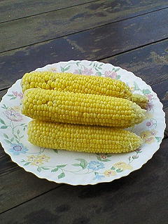 NEC_0391.JPG