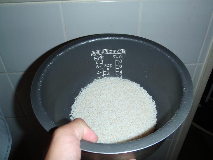 sira4.JPG