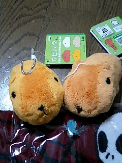 img20061123_1_t.jpg