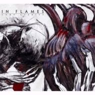 in flames.jpg