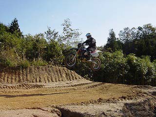 ☆キングこあら☆