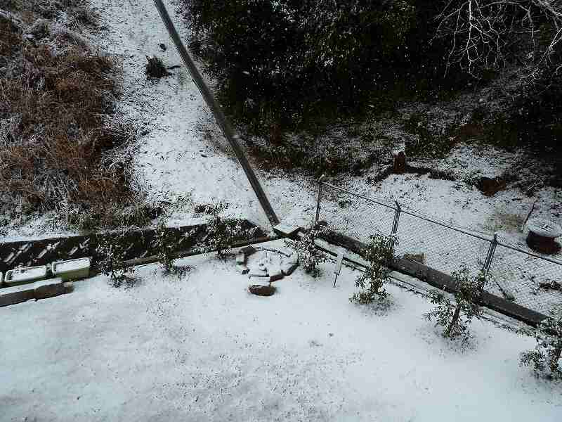 警固屋大雪の巻　平成23年2月12日 2