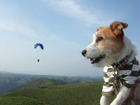DSCF7280.JPG