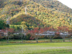 2009･11･14 電車が走る風景。.jpg