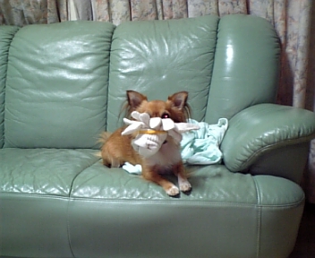 たこ船長２.JPG