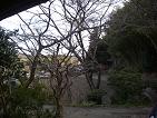 IMGP9231.JPG