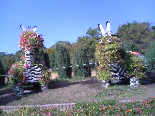 071031_1355~01.jpg
