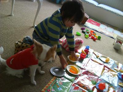 Copy of Picture 033.jpg