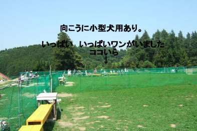 2006_0521すいらん0011 (2).JPG