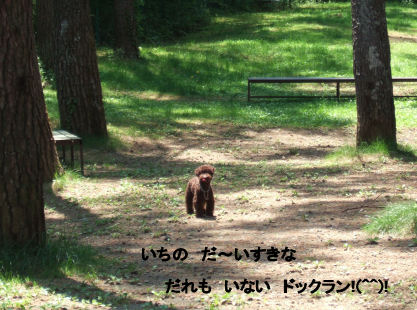 2006_0601山中湖0021Ａ.jpg