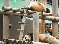 南紀白浜2日目　動物編49.jpg