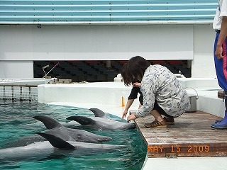 南紀白浜2日目　動物編12.jpg