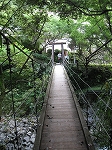 izu 050.jpg