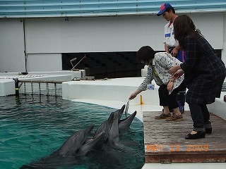 南紀白浜2日目　動物編17.jpg