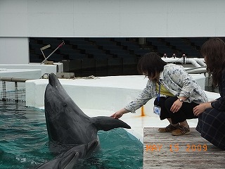 南紀白浜2日目　動物編18.jpg