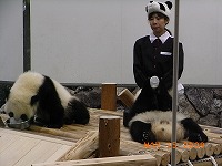 南紀白浜2日目　動物編78.jpg