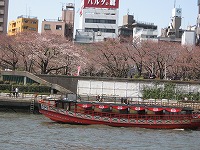 浅草・お台場 011.jpg