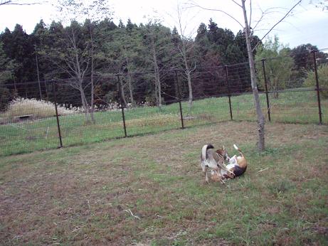 PB030117.JPG