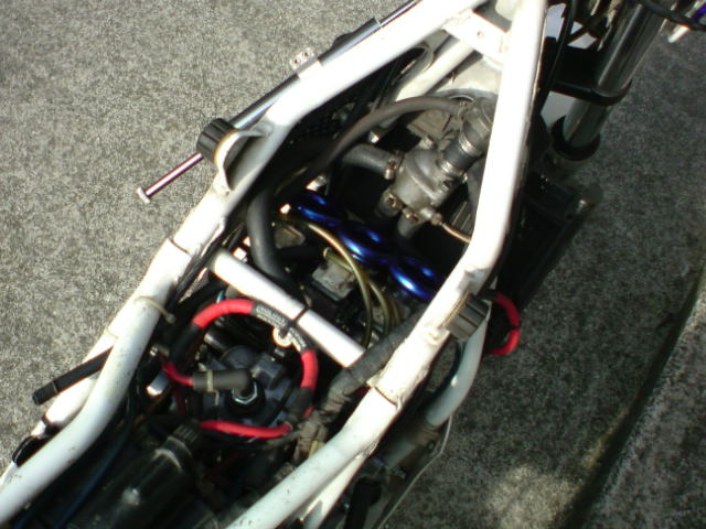 MVX