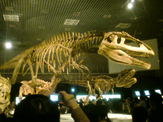 恐竜１